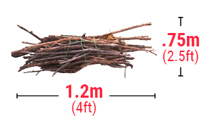 Photo of a bundle of braches wrapped up for collection. Do not put out branches that are more than 7 cm (or 2 ½ in) in diameter.