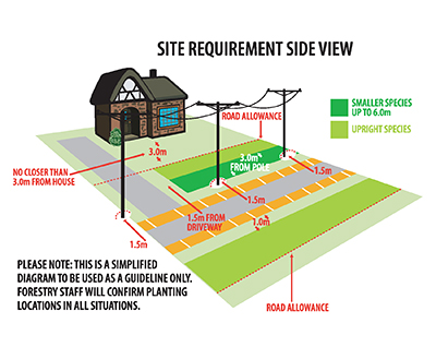 Diagram of road allowance for tree planting