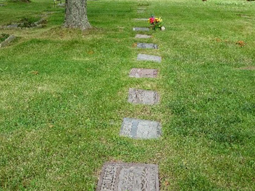 flat stones in grass