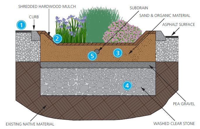 Illustration of low impact development garden bump out