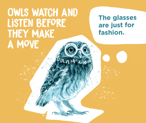 Owl wearing glasses with text "the glasses are just for fashion" and title "Owls watch and listen before they make a move"