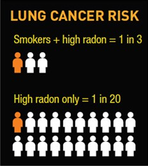 Lung Cancer Risk infographic - 1/3 smokers with high radon, 1/20 high radon only
