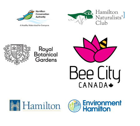 Partners in Pollination logos Hamilton Conservation Authority, Hamilton Naturalists' Club, Royal Botanical Gardens, Bee City Canada, City of Hamilton, Environment Hamilton