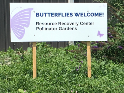 text: Butterflies welcome!  Sign for Resource Recovery Center Pollinator Garden