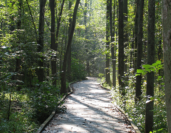 Waterdown North Wetland Trail