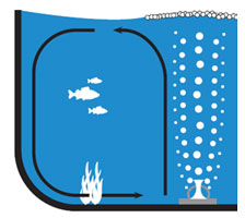 Diagram of a small scale aeration system