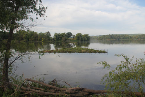 Chedoke floating treatment wetland in Coots Paradise