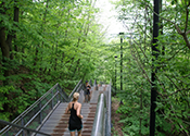 Ward 14: Chedoke Stairs