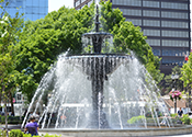 Ward 2: Gore Park fountain