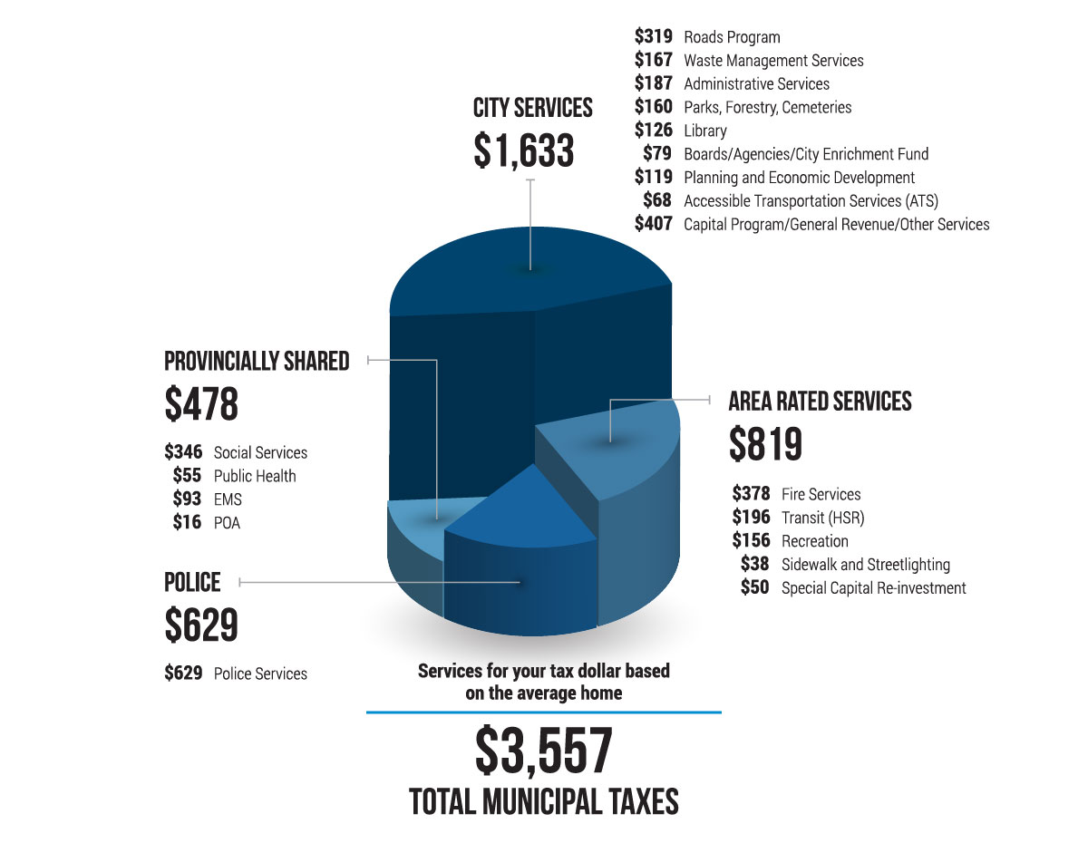 2019 Distribution of Tax Dollars pie chart, full description below