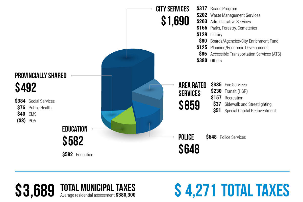 2020 Distribution of Tax Dollars pie chart, full description below