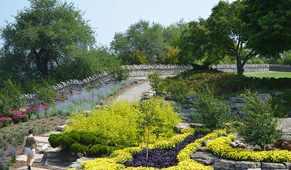 Gardens in Sam Lawrence Park