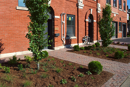 Pollinator garden in front of a brick building
