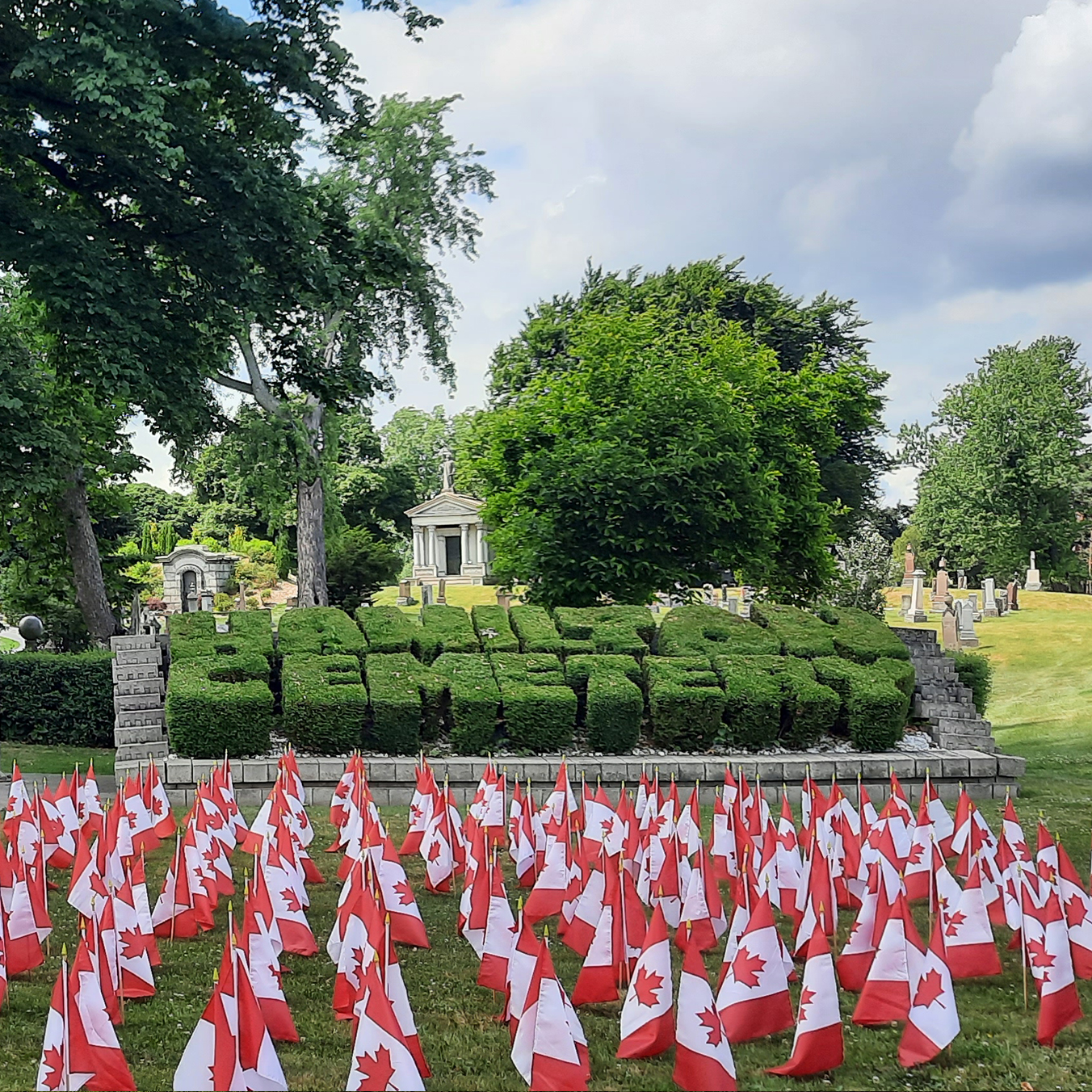 Remembrance day Canda flags honouring veterans