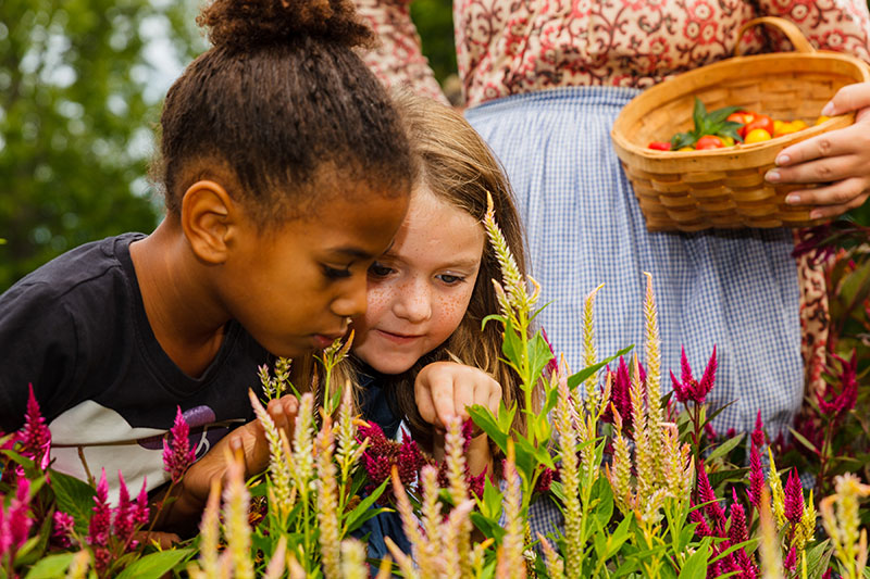 Hamilton Children’s Museum Pop-Up in Dundurn’s Kitchen Garden