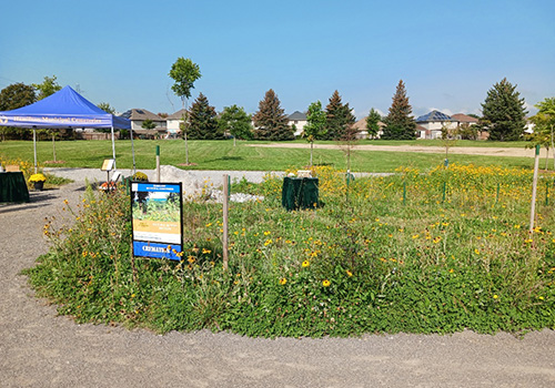 Funeral setup in native garden with tall grasses