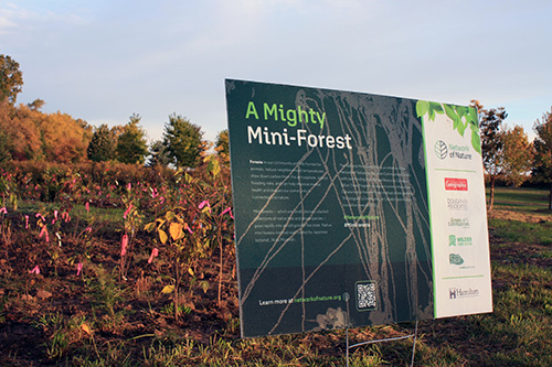 sign explaining tree planting project