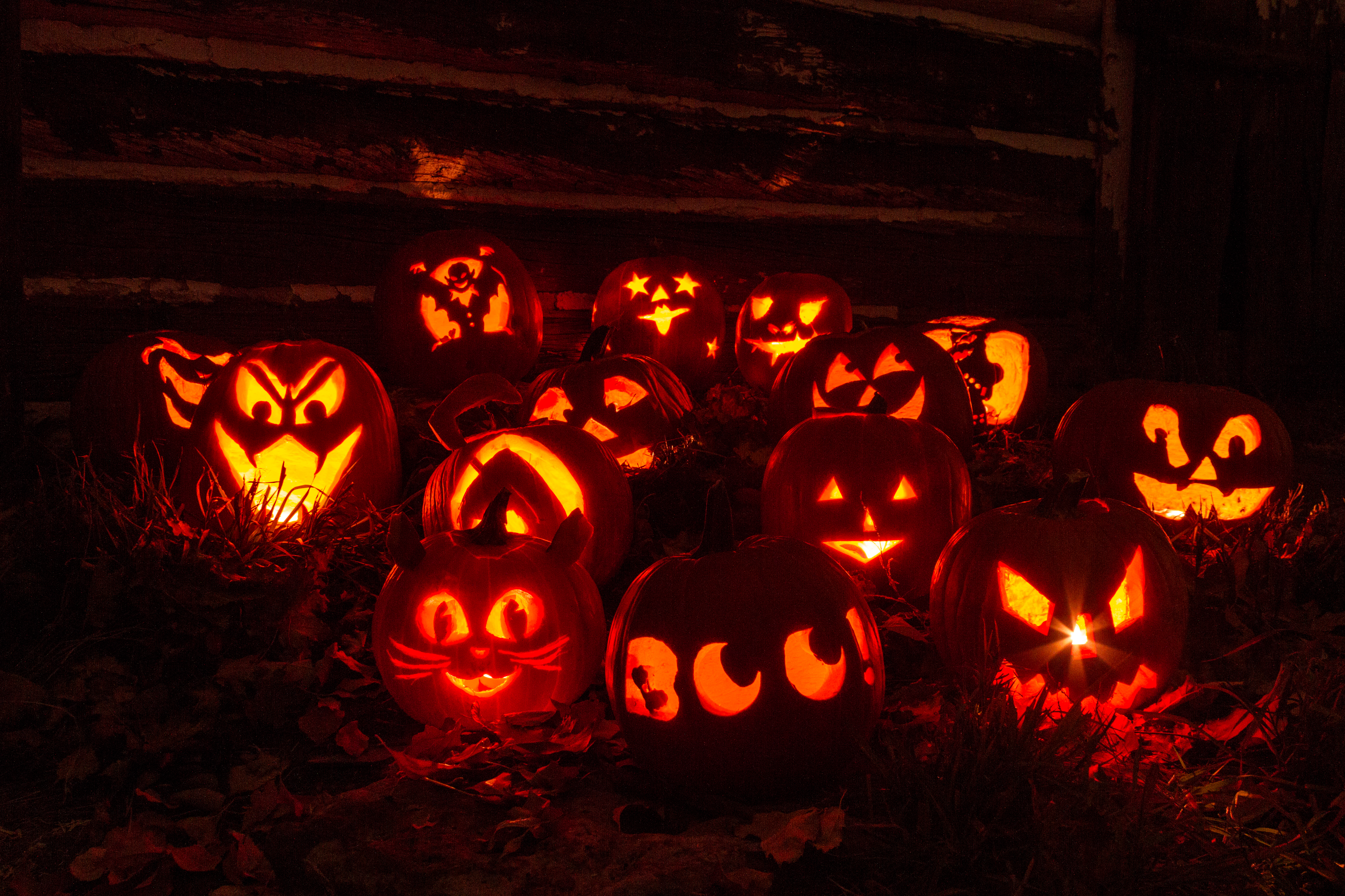 Group of carved pumpkins at night for Halloween