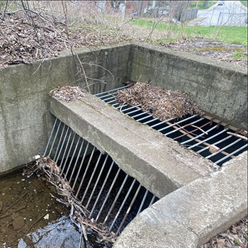 Creek Separator of Ainslie Wood Neighbourhood