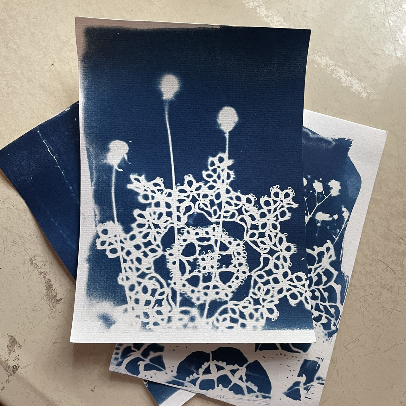 cyanotype artwork
