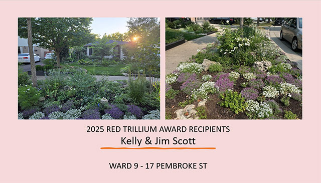 2025 Red Trillium Award Recipients: Kelly & Jim Scott, 17 Pembroke St., Ward 9