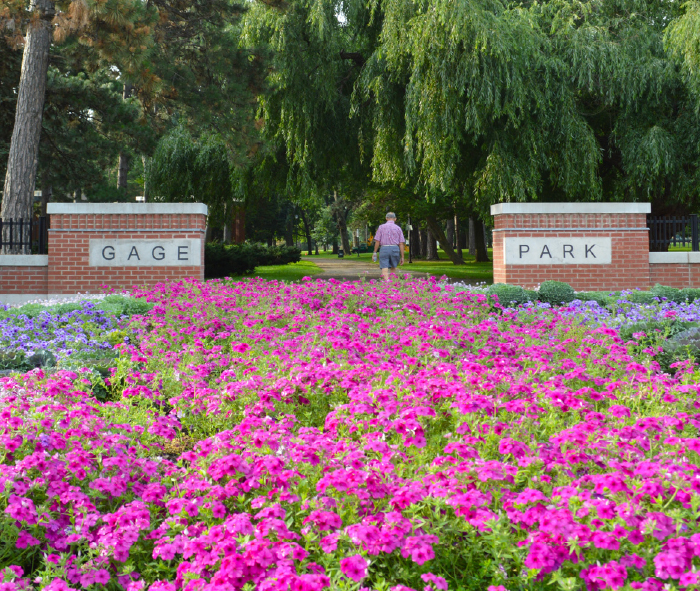 Entrance to Gage Park at Main & Gage, with lots of pink flowers in the garden in front of the gate.