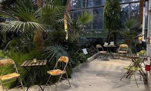 small tables and chairs setup cafe style inside the greenhouse