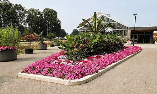 outside of greenhouse