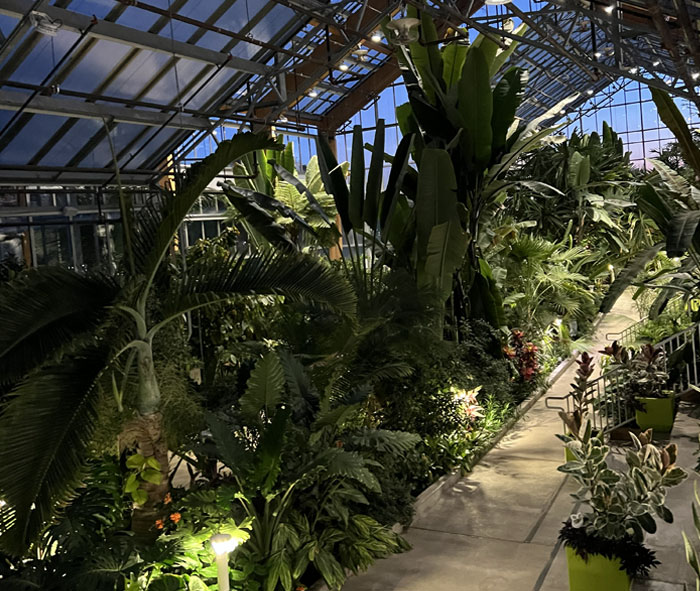 interior of the Gage Park tropical greenhouse at night, lit up
