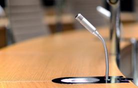 Public Delegations - request to speak before a committee of council