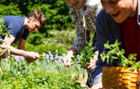People picking herbs from the garden at Dundurn Natural Historic Site