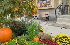 Fall mums and pumpkin decor on sidewalk in front of a boutique store