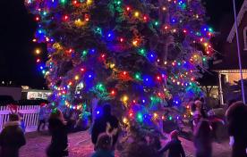 Holiday tree lighting at night, tree with snow and lights