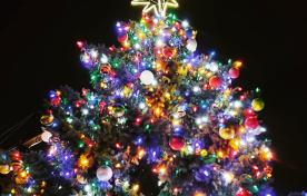 Top of Christmas Tree at Gore Park with Star Topper
