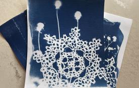 cyanotype artwork
