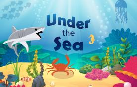 illustration under the sea
