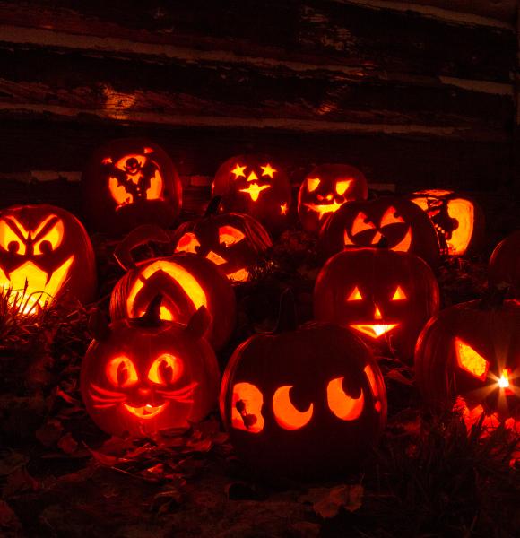 Group of carved pumpkins at night for Halloween