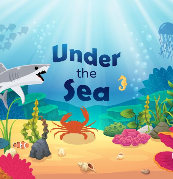 illustration under the sea