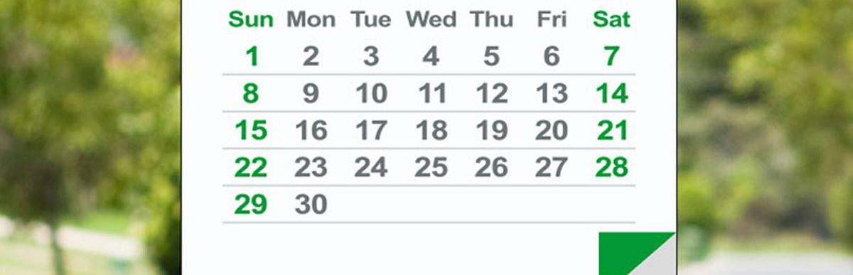 Graphic of a 30-day calendar with unspecified month