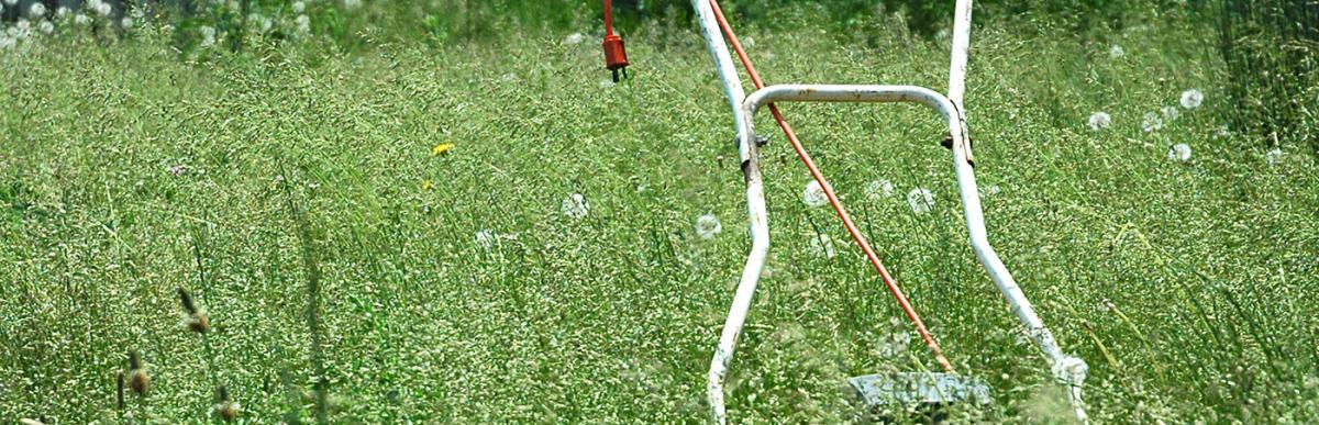 Lawn mower in a yard of long grass, obviously never been used