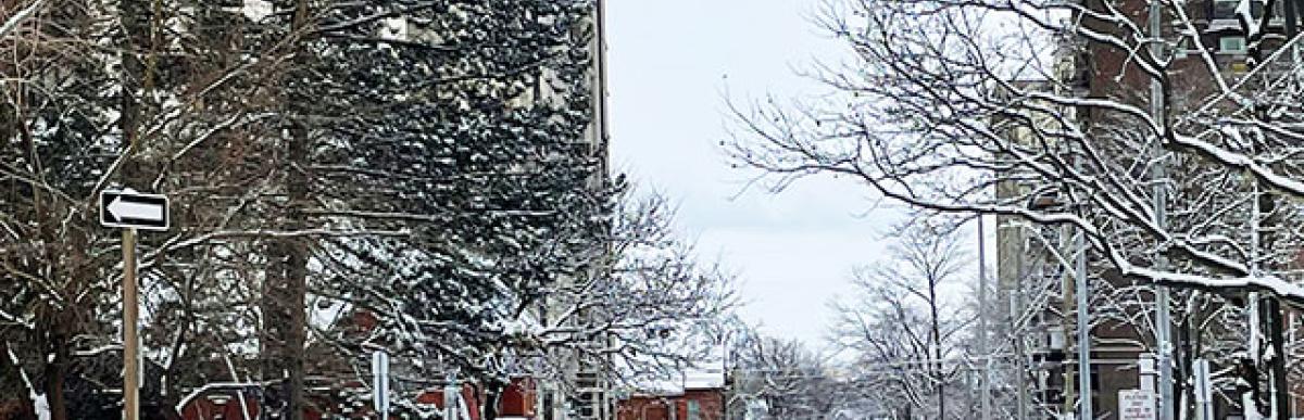 Snow covered street in Hamilton with cars driving and parked