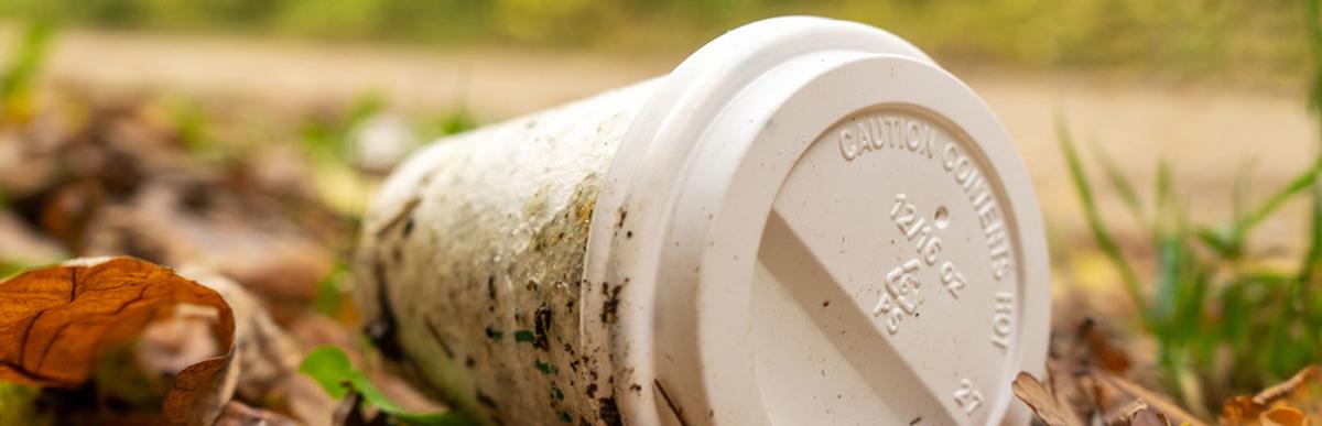 Disposable coffee cup in the forest. Plastic recycling, pollution theme.