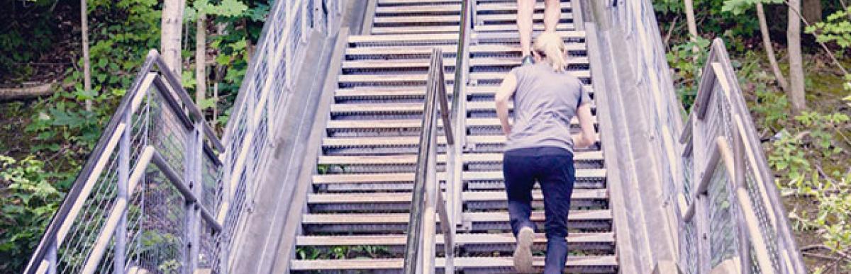 Kenilworth stairs, trail access through trees