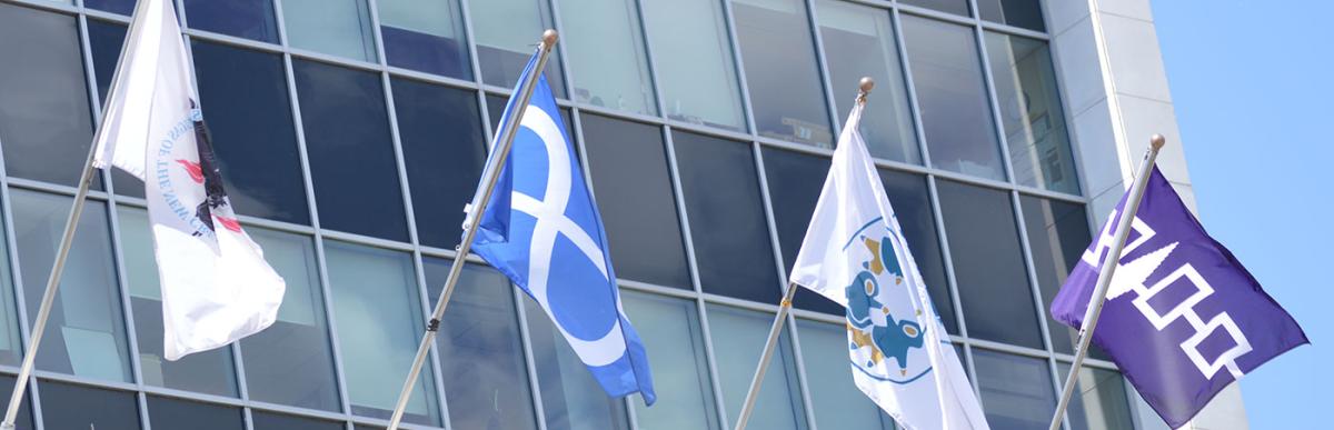 Indigenous Flags at City Hall