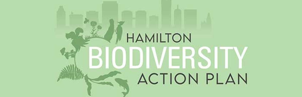 Logo for Hamilton Diversity Action Plan with city skyline in background