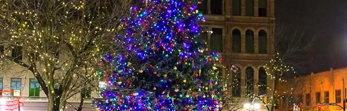Christmas tree and lights set up in Gore Park