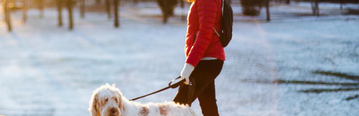 Practice proper Pettiquette - woman walking a dog in a snowy field