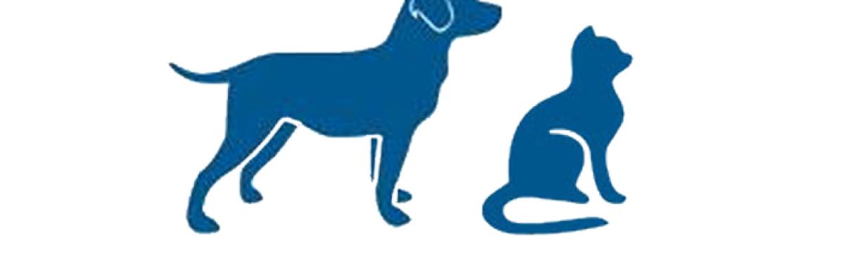 Illustration of cat and dog