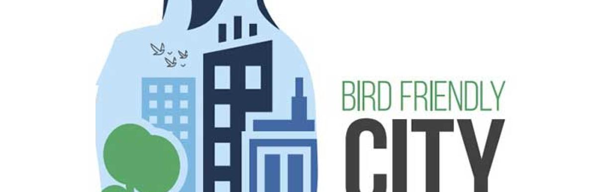 Promotion for Bird Friendly City