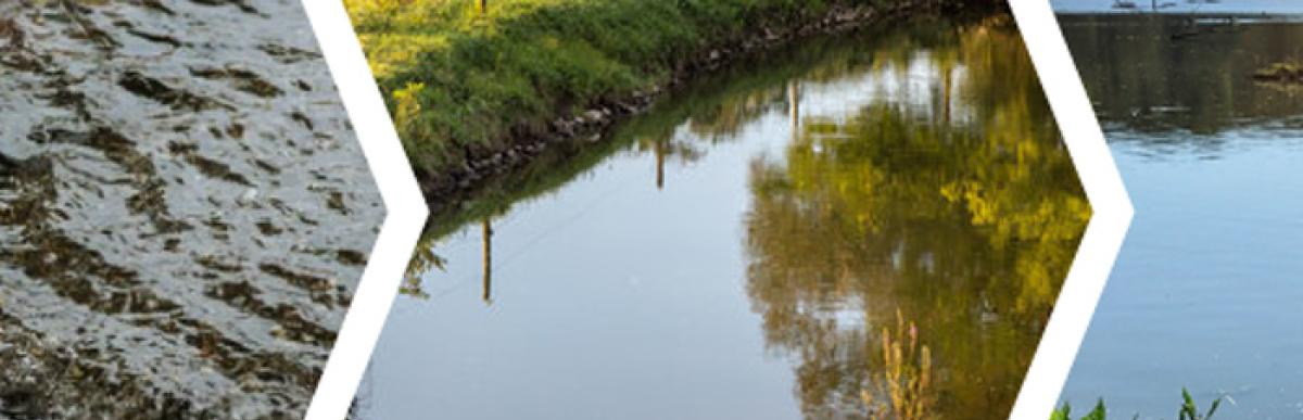 images of watersheds and a storm sewer